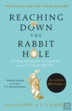 Bertrand.pt - Reaching Down The Rabbit Hole