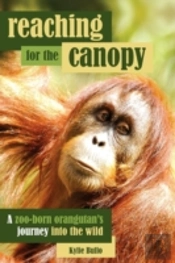 Reaching For The Canopy: A Zoo-Born Orangutan'S Journey Back To The Wild