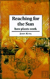 Reaching For The Sun