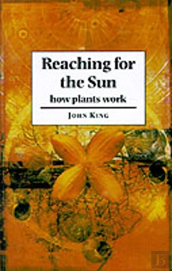 Bertrand.pt - Reaching For The Sun