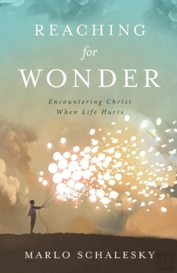 Bertrand.pt - Reaching For Wonder