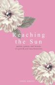 Reaching The Sun