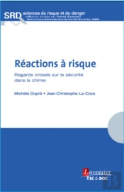 Réactions À Risque ; Regards Croisés Sur La Sécurité Dans La Chimie