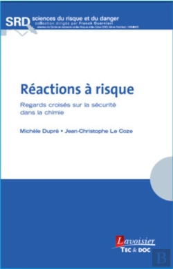 Bertrand.pt - Réactions À Risque ; Regards Croisés Sur La Sécurité Dans La Chimie