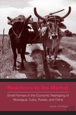 Bertrand.pt - Reactions To The Market