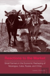 Reactions To The Market