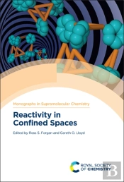 Reactivity In Confined Spaces