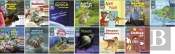 Read Write Inc. Phonics Book Bag Books: Set 7 Grey: Grey Set 7 Non-Fiction Book Bag Books (Pack Of 130)