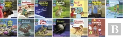 Bertrand.pt - Read Write Inc. Phonics Book Bag Books: Set 7 Grey: Grey Set 7 Non-Fiction Book Bag Books (Pack Of 130)