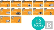 Read Write Inc. Phonics: Orange Set 4 More Black & White Storybooks (Pack Of 12)
