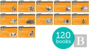 Read Write Inc. Phonics: Orange Set 4 More Black & White Storybooks (Pack Of 120)