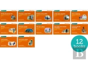 Read Write Inc. Phonics: Orange Set 4 More Storybooks (Mixed Pack Of 12)