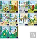 Read Write Inc. Phonics: Sound Blending Book Bag Books (Pack Of 100)