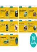 Read Write Inc. Phonics: Yellow Set 5 More Storybooks (Mixed Pack Of 10)