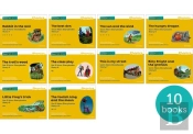 Read Write Inc. Phonics: Yellow Set 5 More Storybooks (Mixed Pack Of 10)