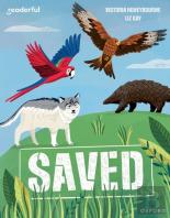 Readerful Independent Library: Oxford Reading Level 8: Saved