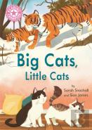 Reading Champion: Big Cats, Little Cats