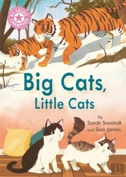 Bertrand.pt - Reading Champion Big Cats Little Cats