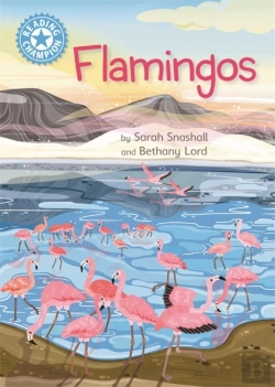 Bertrand.pt - Reading Champion: Flamingos