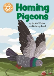 Reading Champion: Homing Pigeons