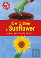 Reading Champion: How To Grow A Sunflower