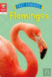 Reading Gems Fact Finders: Flamingos (Level 1)