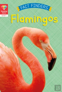 Bertrand.pt - Reading Gems Fact Finders: Flamingos (Level 1)