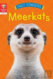 Reading Gems Fact Finders: Meerkats (Level 1)