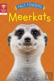 Reading Gems Fact Finders: Meerkats (Level 1)