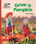 Reading Planet - Grow A Pumpkin - Red B: Galaxy
