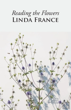 Bertrand.pt - Reading The Flowers
