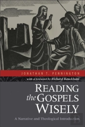 Reading The Gospels Wisely Â€“ A Narrative And Theological Introduction