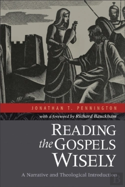 Bertrand.pt - Reading The Gospels Wisely Â€“ A Narrative And Theological Introduction