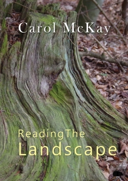 Bertrand.pt - Reading The Landscape