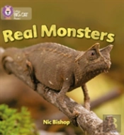 Real Monsters