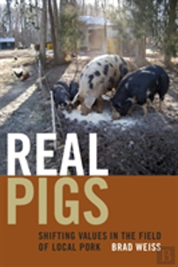Bertrand.pt - Real Pigs