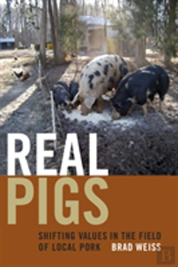 Bertrand.pt - Real Pigs