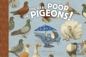 Real Poop On Pigeons