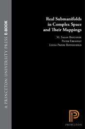 Real Submanifolds In Complex Space And Their Mappings
