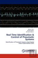 Real Time Identification & Control Of Pneumatic Systems