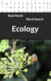 Real World Word Search