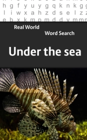 Real World Word Search