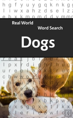 Bertrand.pt - Real World Word Search