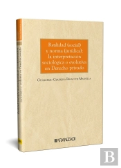Realidad Social Y Norma Juridica La Interpretacion Sociologi