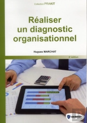 Realiser Un Diagnostic Organisationnel