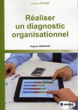 Bertrand.pt - Realiser Un Diagnostic Organisationnel