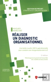 Realiser Un Diagnostic Organisationnel