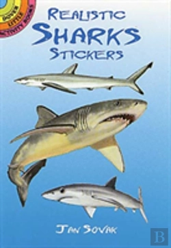 Bertrand.pt - Realistic Sharks Stickers