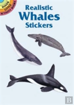 Bertrand.pt - Realistic Whales Stickers