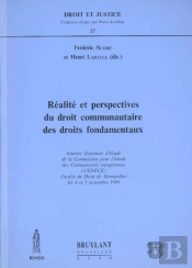 Realite Et Perspectives Du Droit Communautaire Des Droits Fondamentaux